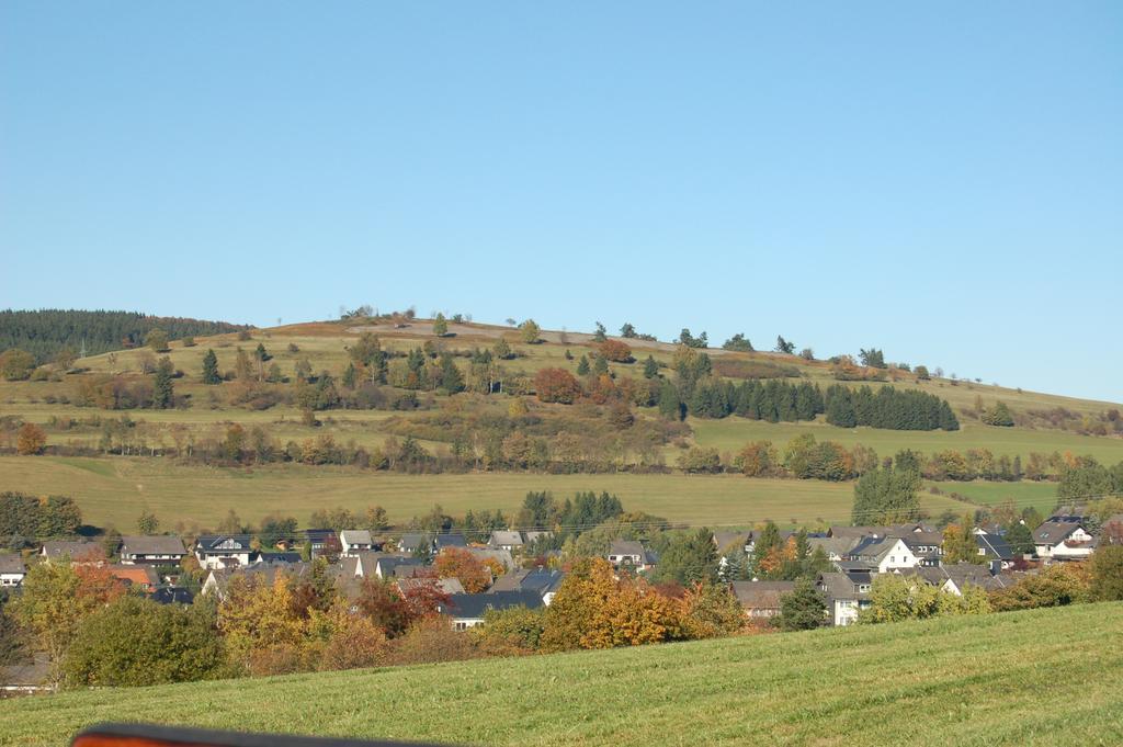 Ferienwohnungen Westfalenhof Willingen  Exterior photo