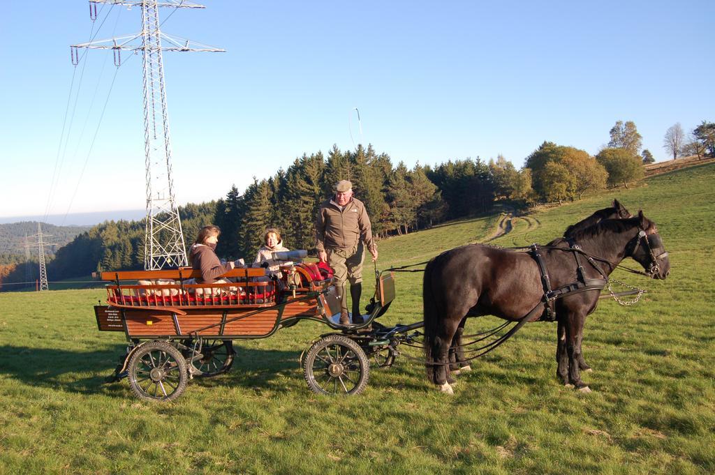 Ferienwohnungen Westfalenhof Willingen  Exterior photo